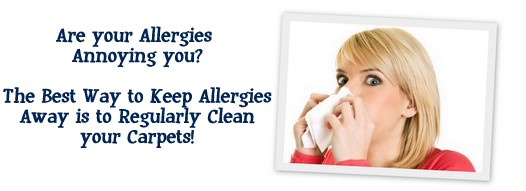 Carpet Cleaning San Carlos, CA