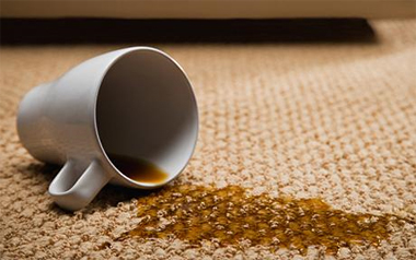 Carpet Cleaning San Carlos, CA