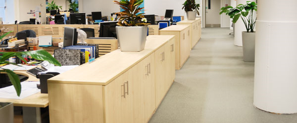 Commercial Carpet Cleaning San Carlos, CA