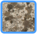 San Carlos Water Damage Restoration